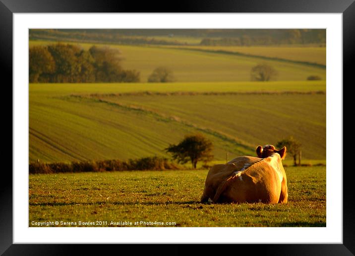 Enjoying the View Framed Mounted Print by Serena Bowles