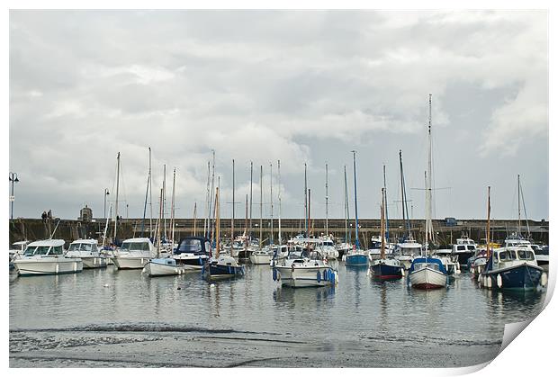 Saundersfoot Harbour Print by Steve Purnell