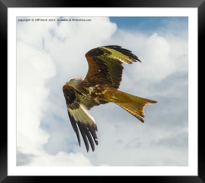 Crimson Kite Soaring in Sky Framed Mounted Print by Cliff Kinch