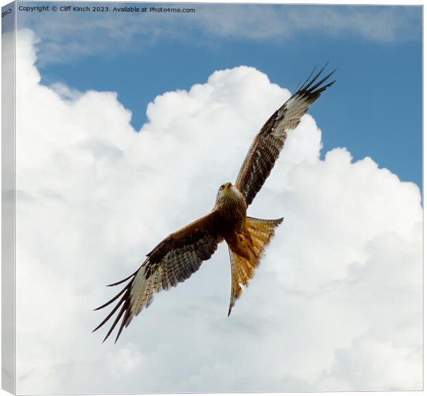 Soaring Red Kite Against Sky Canvas Print by Cliff Kinch