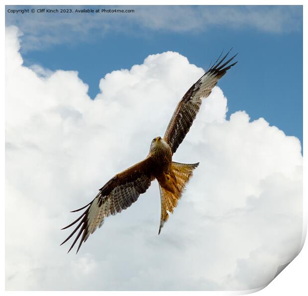 Soaring Red Kite Against Sky Print by Cliff Kinch