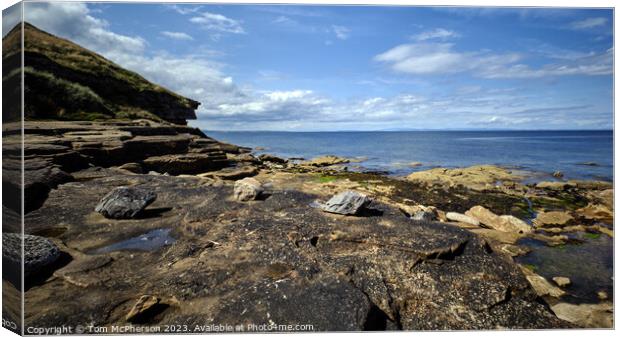 Dolphin's Haven: The Moray Firth Canvas Print by Tom McPherson
