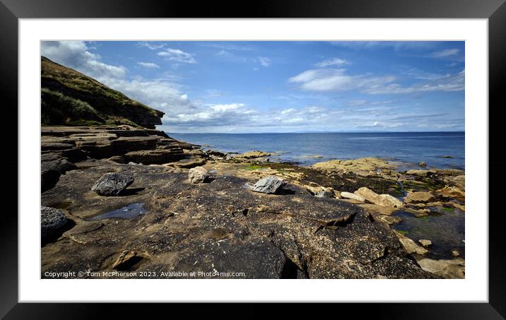 Dolphin's Haven: The Moray Firth Framed Mounted Print by Tom McPherson