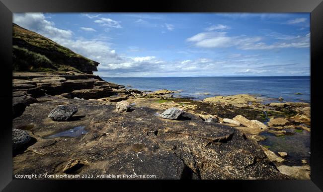 Dolphin's Haven: The Moray Firth Framed Print by Tom McPherson