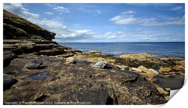 Dolphin's Haven: The Moray Firth Print by Tom McPherson