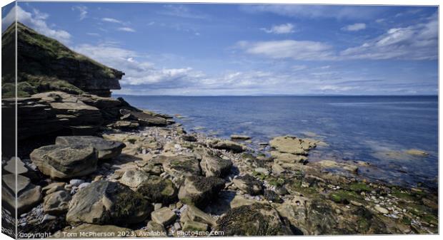 Dolphin Playgrounds:Scotland's Moray Firth Canvas Print by Tom McPherson