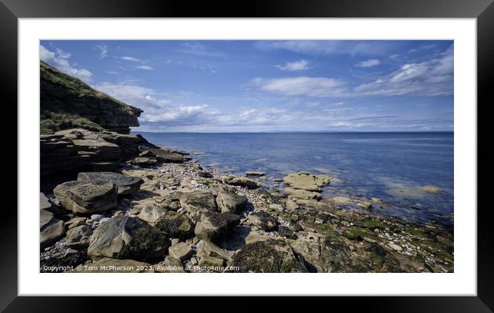 Dolphin Playgrounds:Scotland's Moray Firth Framed Mounted Print by Tom McPherson