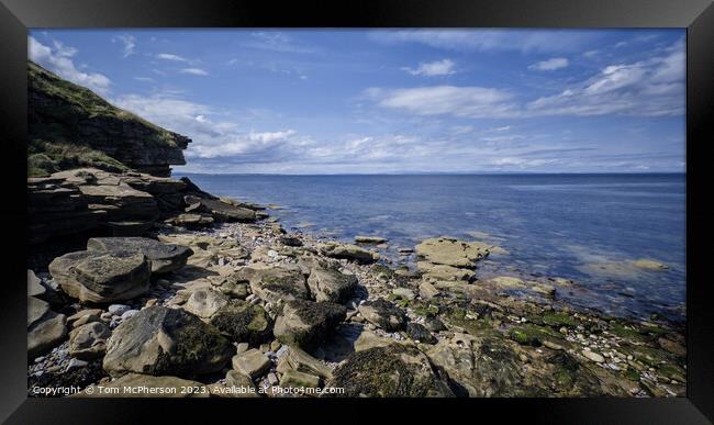 Dolphin Playgrounds:Scotland's Moray Firth Framed Print by Tom McPherson