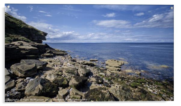 Dolphin Playgrounds:Scotland's Moray Firth Acrylic by Tom McPherson