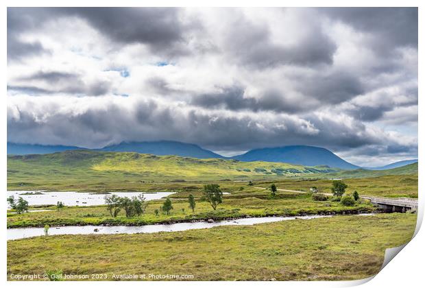 Small islamds and trees on Rannoch Moor Print by Gail Johnson
