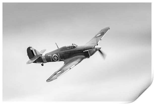 Hawker Sea Hurricane Print by Kevin Howchin