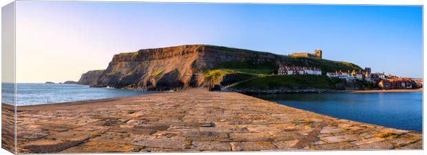 Whitby East Cliff Panoramic Canvas Print by Tim Hill