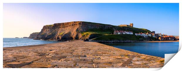 Whitby East Cliff Panoramic Print by Tim Hill