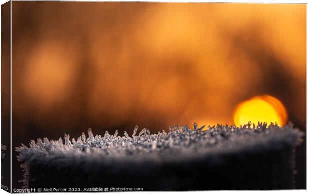 Fire and Ice Canvas Print by Neil Porter