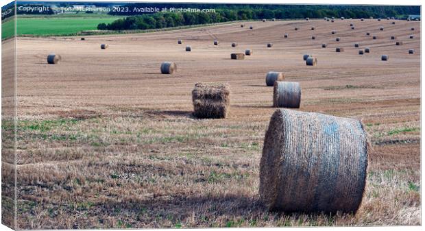 Harvest Haven: The Serene Hayfield Canvas Print by Tom McPherson