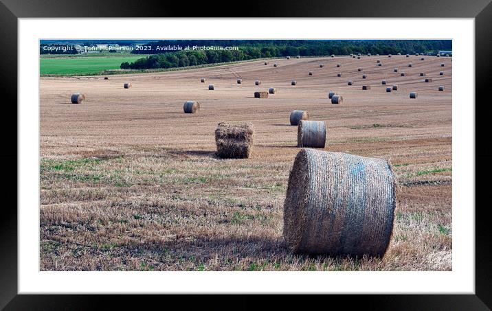 Harvest Haven: The Serene Hayfield Framed Mounted Print by Tom McPherson