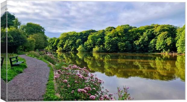 Yarrow Valley Country Park Canvas Print by Michele Davis