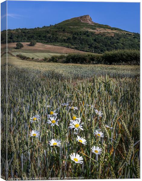 Roseberry Topping and Ox-eye Daisies Canvas Print by Inca Kala