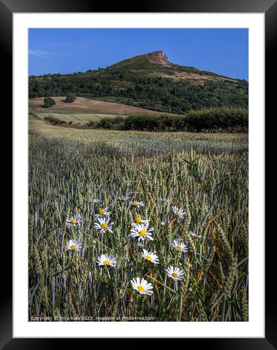 Roseberry Topping and Ox-eye Daisies Framed Mounted Print by Inca Kala