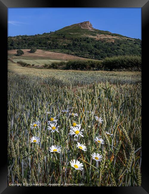 Roseberry Topping and Ox-eye Daisies Framed Print by Inca Kala