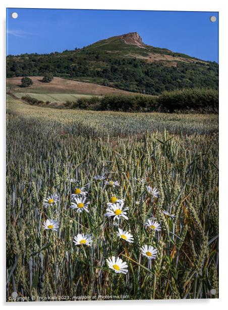 Roseberry Topping and Ox-eye Daisies Acrylic by Inca Kala