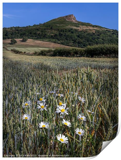 Roseberry Topping and Ox-eye Daisies Print by Inca Kala