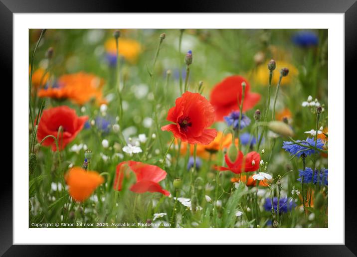 A Riot of Colourful Poppies Framed Mounted Print by Simon Johnson