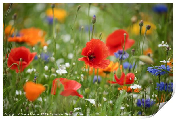 A Riot of Colourful Poppies Print by Simon Johnson