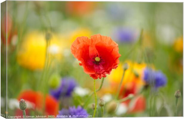 Poppy  flower Canvas Print by Simon Johnson