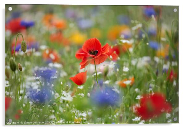 Poppy and wild flowers Acrylic by Simon Johnson
