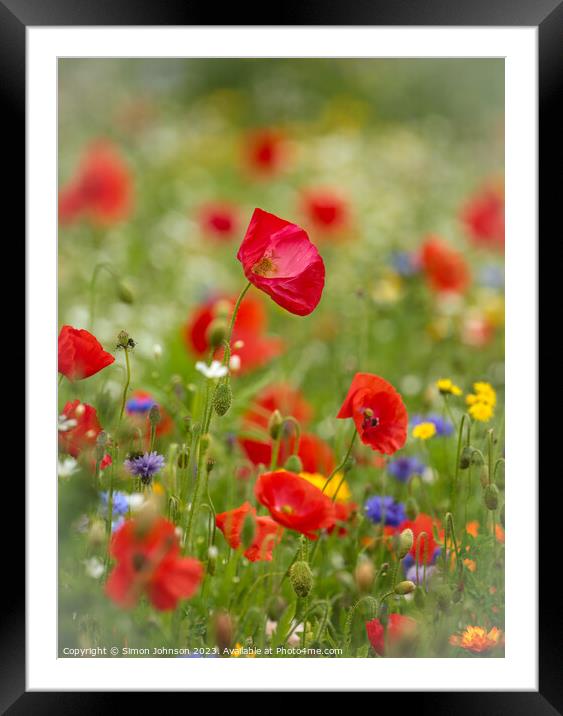 Wild flowers  Framed Mounted Print by Simon Johnson