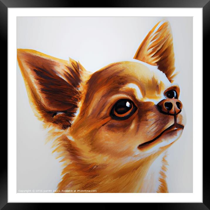 CHIHUAHUA 4 Framed Mounted Print by OTIS PORRITT