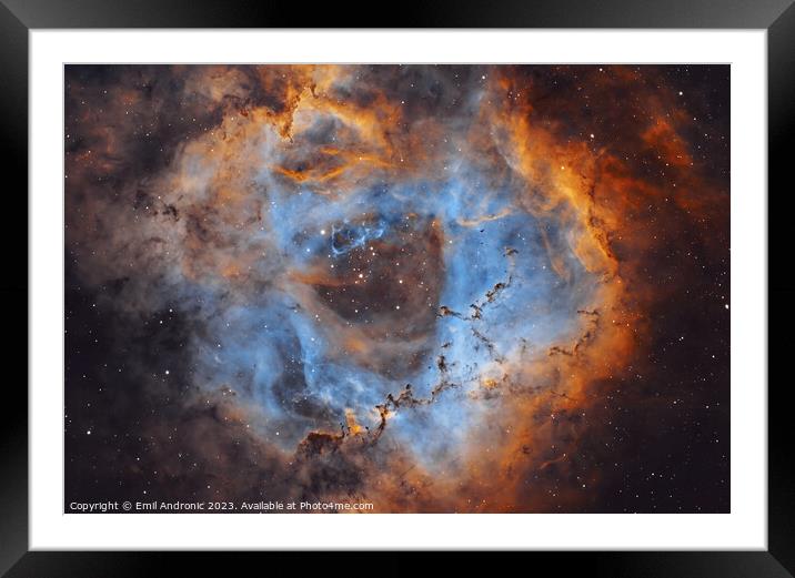 The Rosette Framed Mounted Print by Emil Andronic