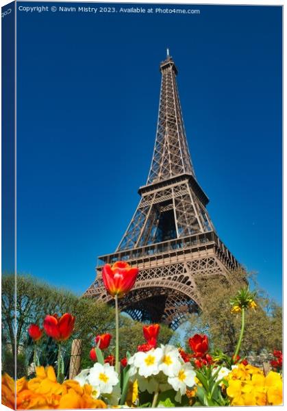Spring Flowers and the Eiffel Tower Canvas Print by Navin Mistry