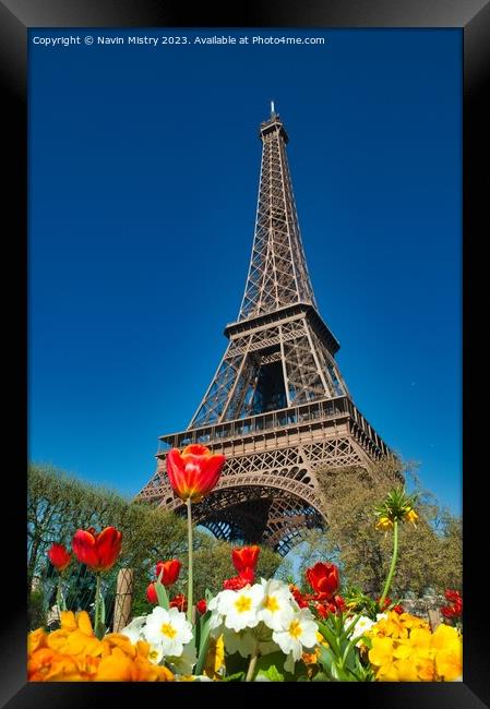 Spring Flowers and the Eiffel Tower Framed Print by Navin Mistry