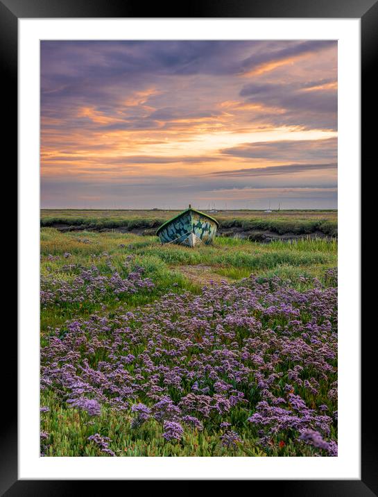 Small boat in sea lavender  Framed Mounted Print by Bryn Ditheridge