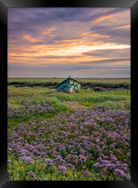 Small boat in sea lavender  Framed Print by Bryn Ditheridge