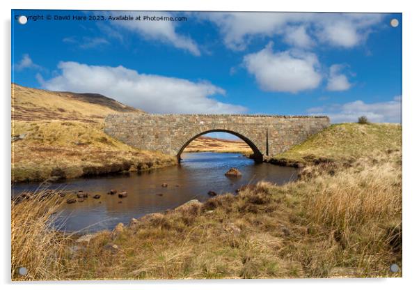 Highland Bridge Acrylic by David Hare
