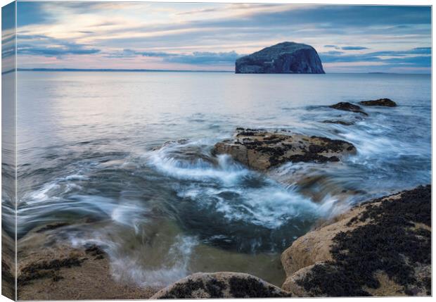 Bass Rock Seascape  Canvas Print by Anthony McGeever