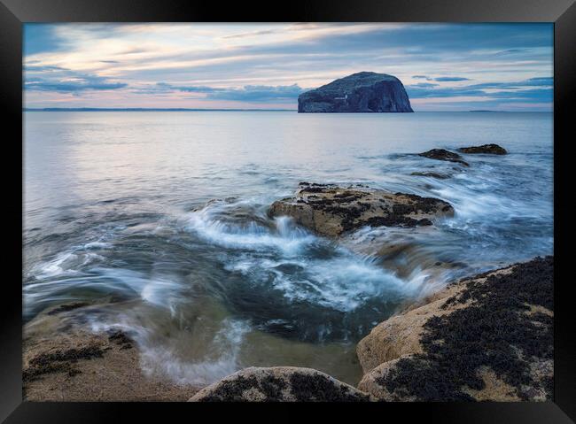 Bass Rock Seascape  Framed Print by Anthony McGeever