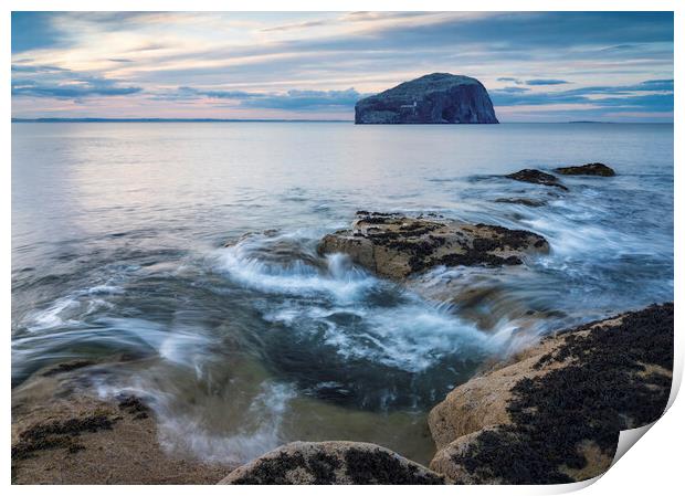 Bass Rock Seascape  Print by Anthony McGeever