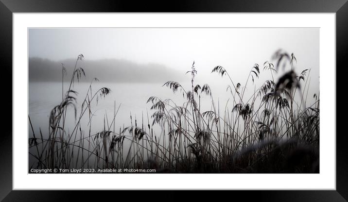 Chilly....... Framed Mounted Print by Tom Lloyd