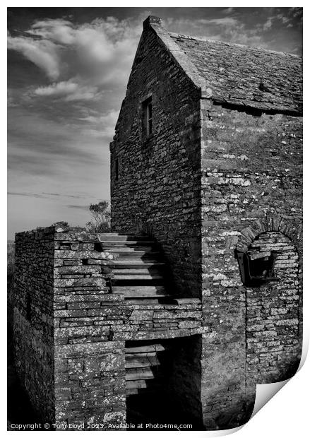 Orkney Mill Print by Tom Lloyd