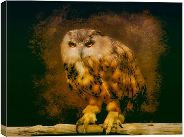 Owl Canvas Print by simon alun hark