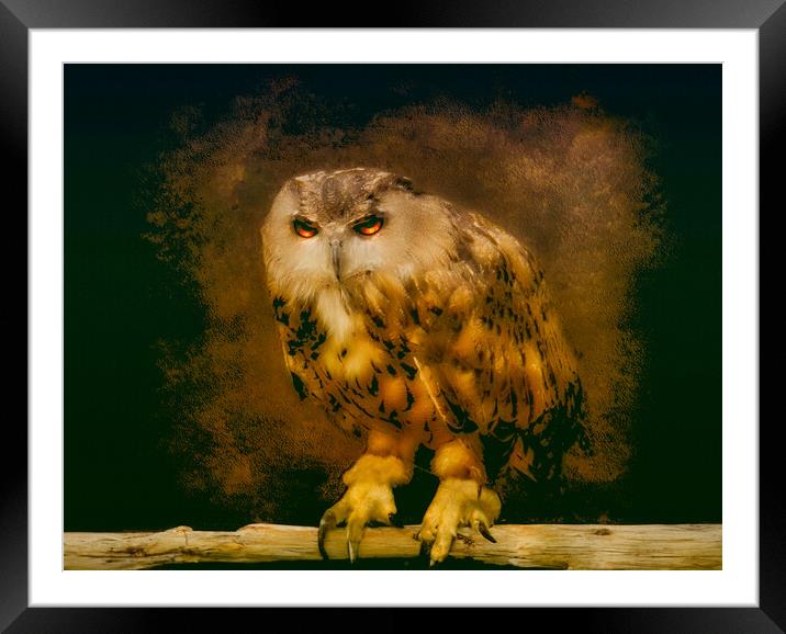 Owl Framed Mounted Print by simon alun hark