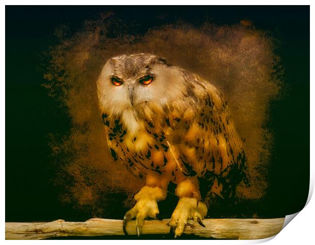 Owl Print by simon alun hark