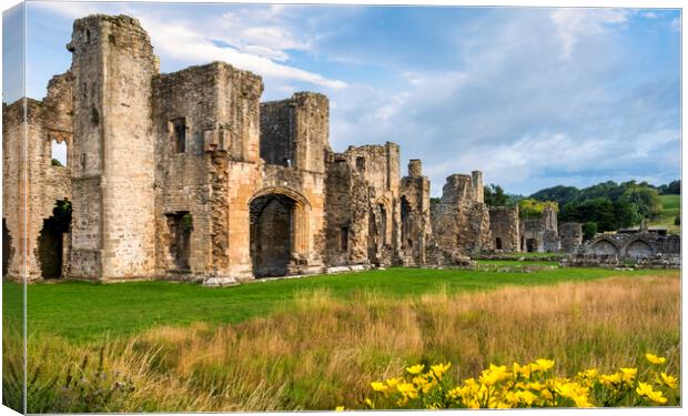 Easby Abbey Richmond, Yorkshire Canvas Print by Tim Hill