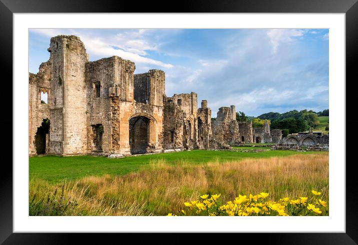 Easby Abbey Richmond, Yorkshire Framed Mounted Print by Tim Hill