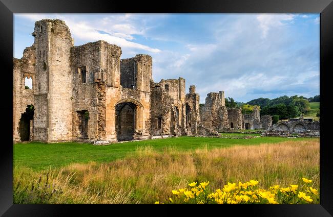 Easby Abbey Richmond, Yorkshire Framed Print by Tim Hill