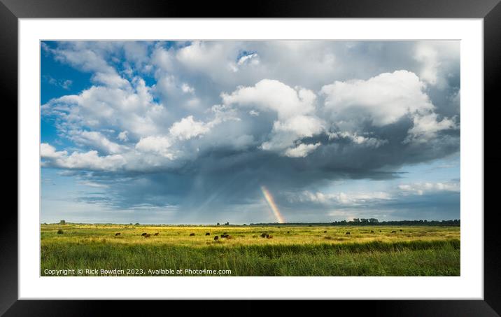 Rainbow Over Broadland Framed Mounted Print by Rick Bowden